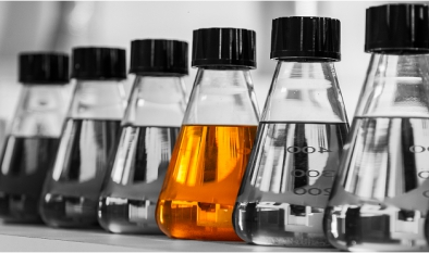 کاتالوگ اول